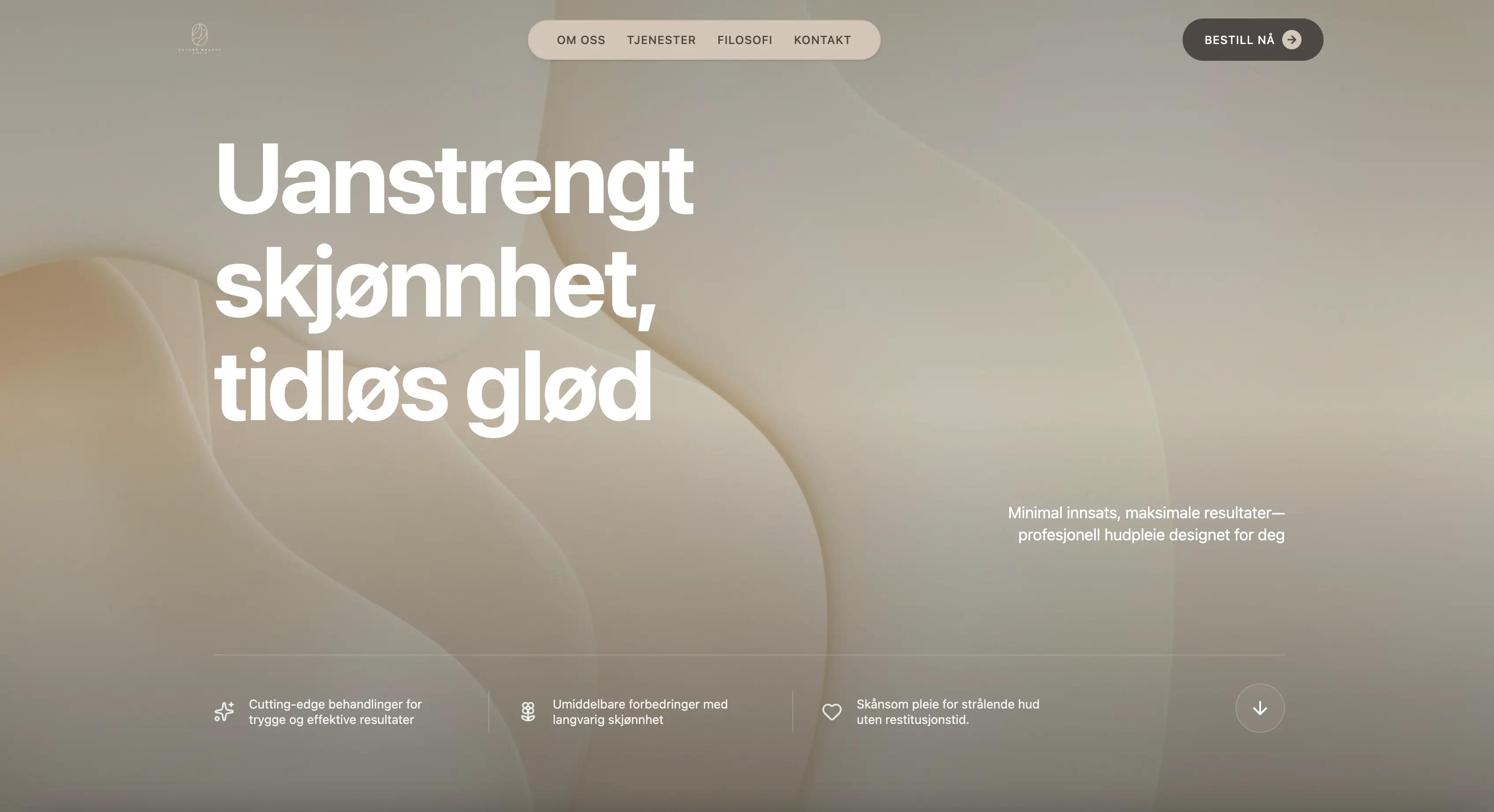 Nettside levert av Nettify - eksempel 3