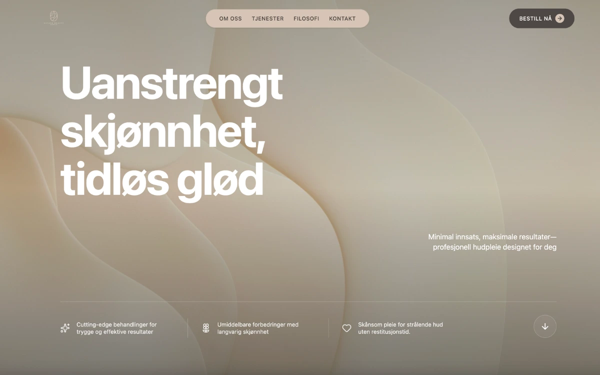 Nettside levert av Nettify - eksempel 9