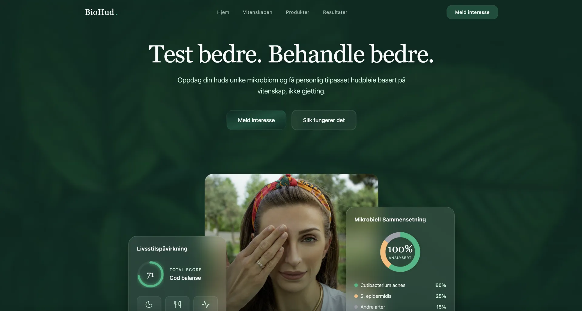 Nettify-mal 2